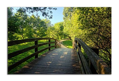 Fototapeta Dřevěný most v parku 24780